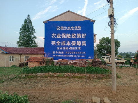 麻城墙体广告为何受追捧？